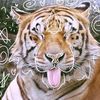 tiger_therian214