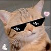 wildan_rendem44