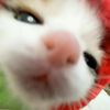 child_821