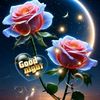 aminham186