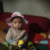ayeshahabib2646