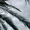 __ahz4
