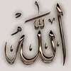 user1879616576773