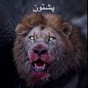 mohammad.yasir622