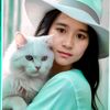 nwe.nwe6261