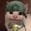 beluga_ab