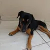 .lunadaluaa