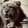 zakria.mohammadi6