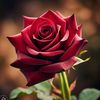 silent_girl_410