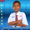 nurbintang100