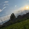 باچا جی🍂