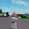 sipaa_533