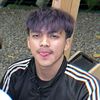apipin.0