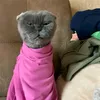 pusy827