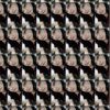 key_laputrii