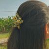 alia.khanom