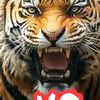 malika.abida