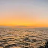 missem0202200_