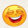 user3784685661559