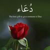 wazeer.marri5