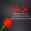 user5305554160668