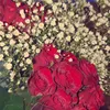 selen_xxy0