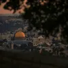 muhamed.alsed