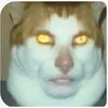 min_koko2