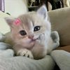 uwiwheiubpi