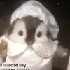 no_se_mi_nombre32