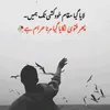 amirshah.043