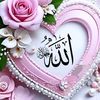 user60609887751812