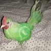 rasthemas