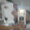 alo_gtz6