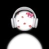 ixdllntoo15