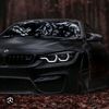 bmw55219