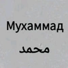 muxammad1209