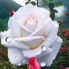 user8102346015956