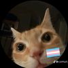 just.acat