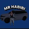 mr.habibi00