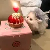 lilyy_1433