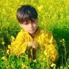 wahid.rahman475