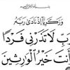 user5415273455381