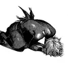 fallen.vgbhj