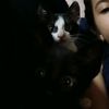 carmen.noguera879