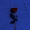 1poetaqnservpnada
