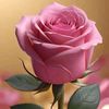 snayder4161