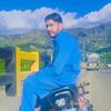swat1363