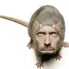 klaus10170