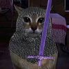 aramier_ponytown